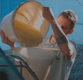 Homem agricultor segurando um balde de grãos