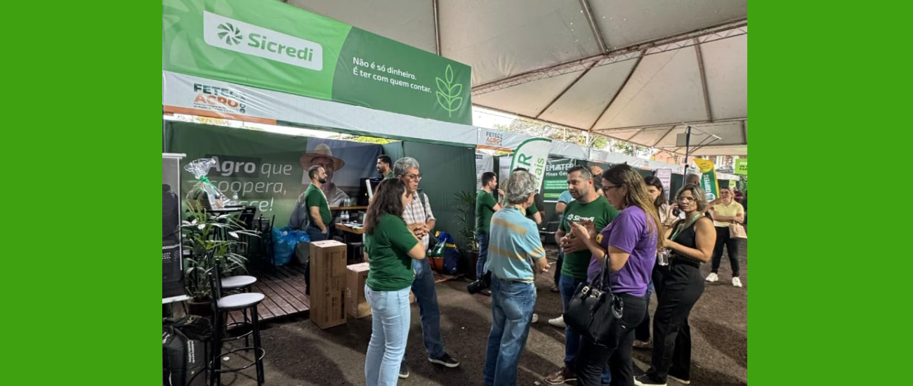  Imagem do Sicredi 