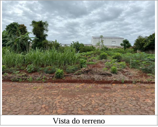  Imagem do Sicredi 
