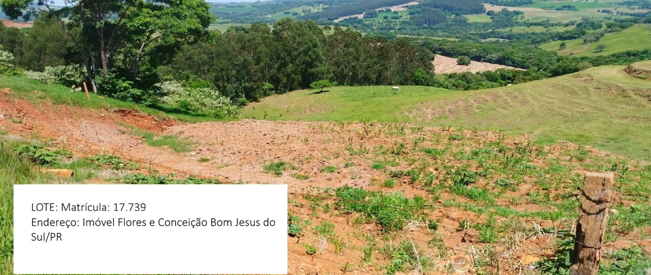  Imagem do Sicredi 