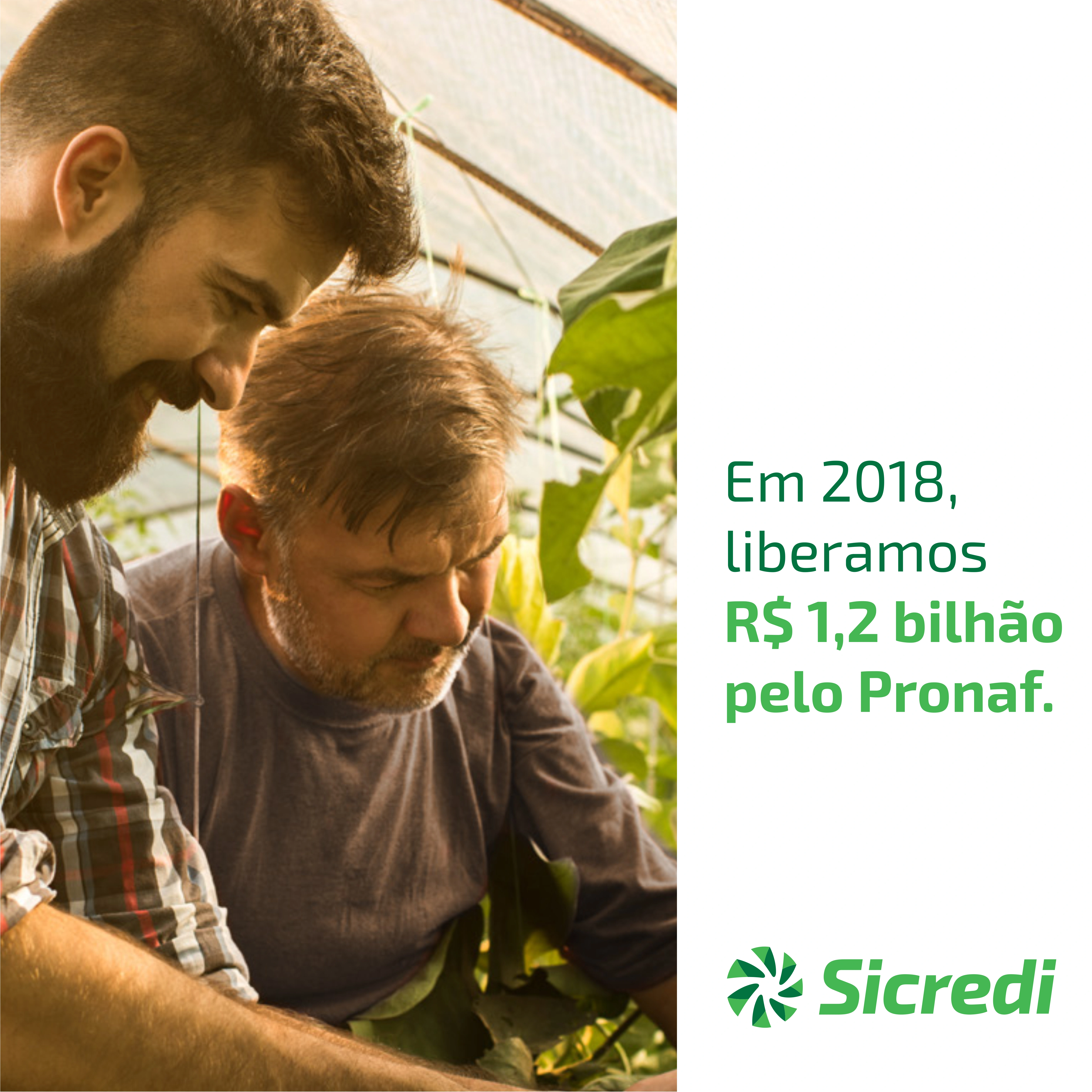  pronafsite-2406191900618724554.png 