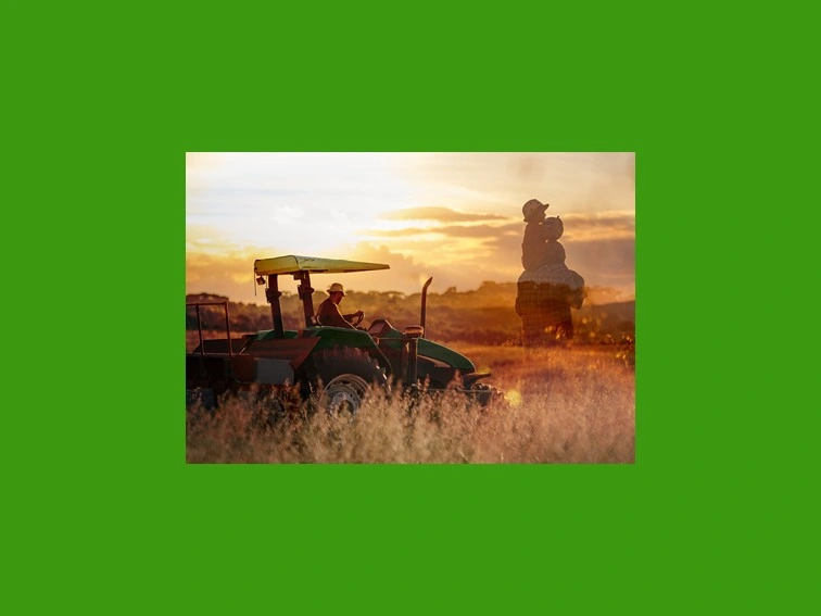  agro-4120415410472763165.jpg 
