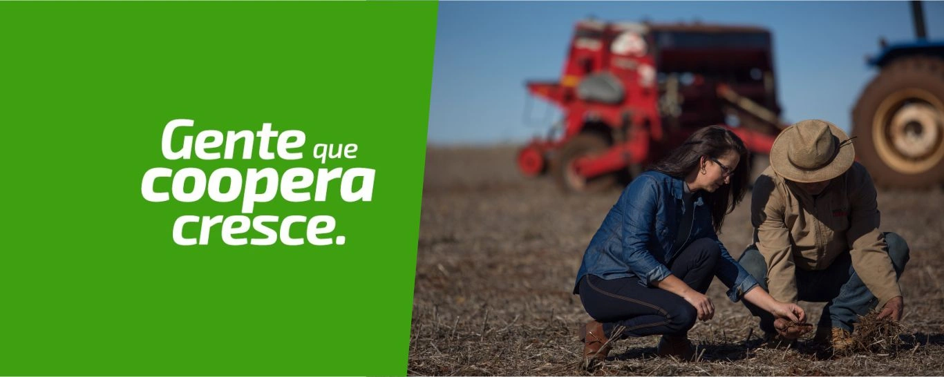  Relatório anual BNDES e FEBRABAN-3736440274043337523.jpg 
