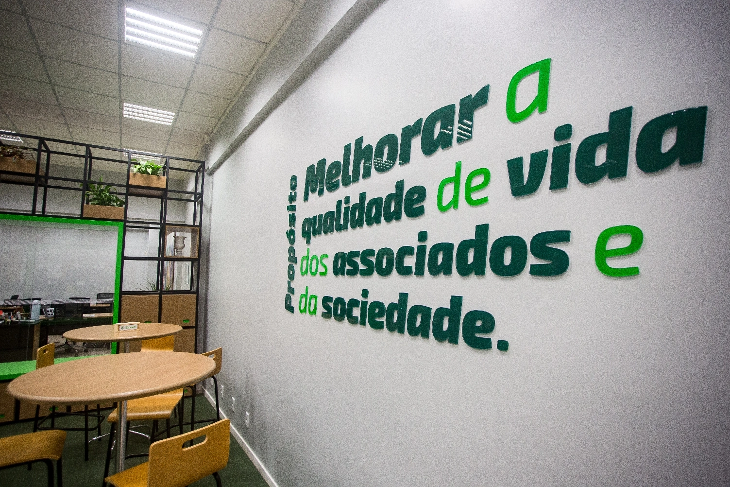  modelo-1734908637916514421.jpg 