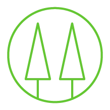  Ícone pinheiro, simbolizando o cooperativismo. 