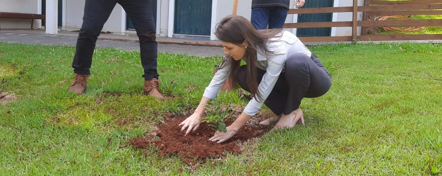  Sicredi é referencia nas metas da ONU-9126810349971201847.jpg 