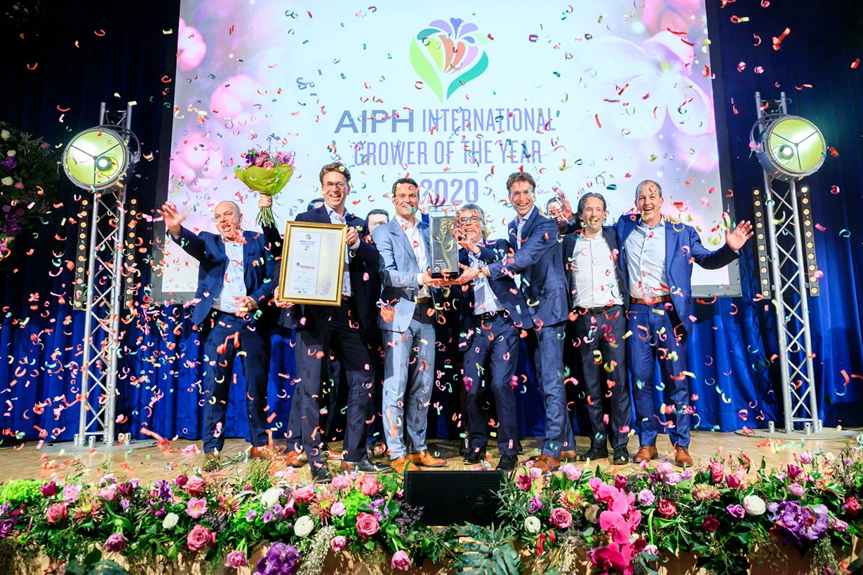  IGOTY_2020_winner_Anthura-8458936837191968711.jpg 