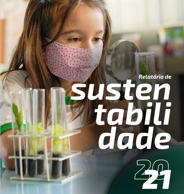  Relatório_de_Sustentabilidade.PNG.png 