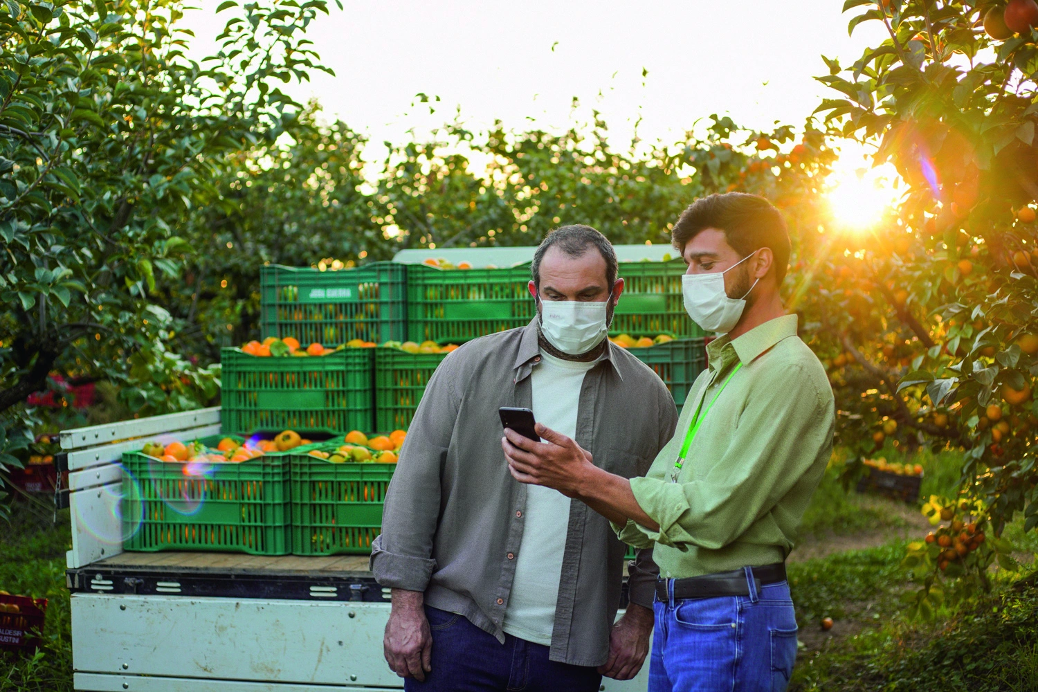 Sicredi-Agro--2-.jpg