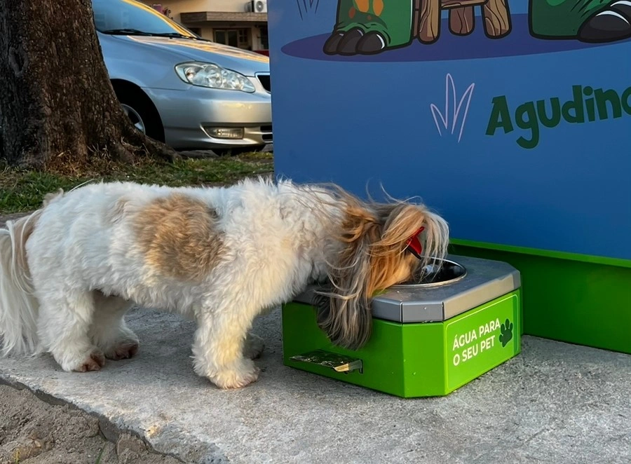  Inauguracao Chimarrodromo (15).jpg 