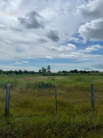 LOTE 469 D5B 5 010 M 2 .jpeg