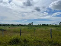 LOTE 469 D5B 5 010 M 4.jpeg
