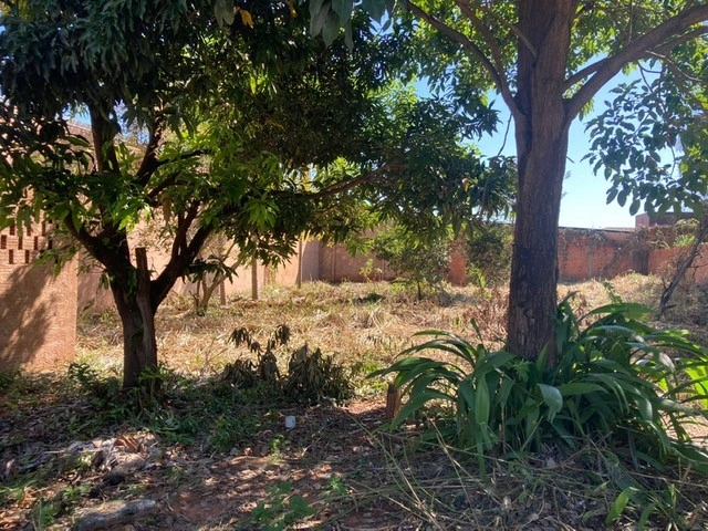  Terreno - jaraguari 1.jpg 