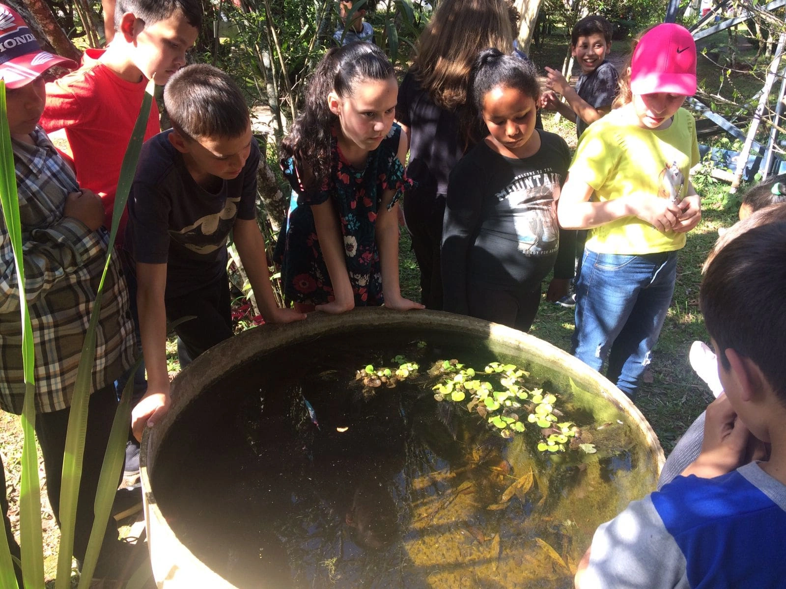  Imagem do site Sicredi 