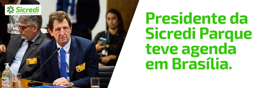  presidente-sicredi-parque 