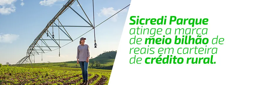  meio-bi-site.jpg 