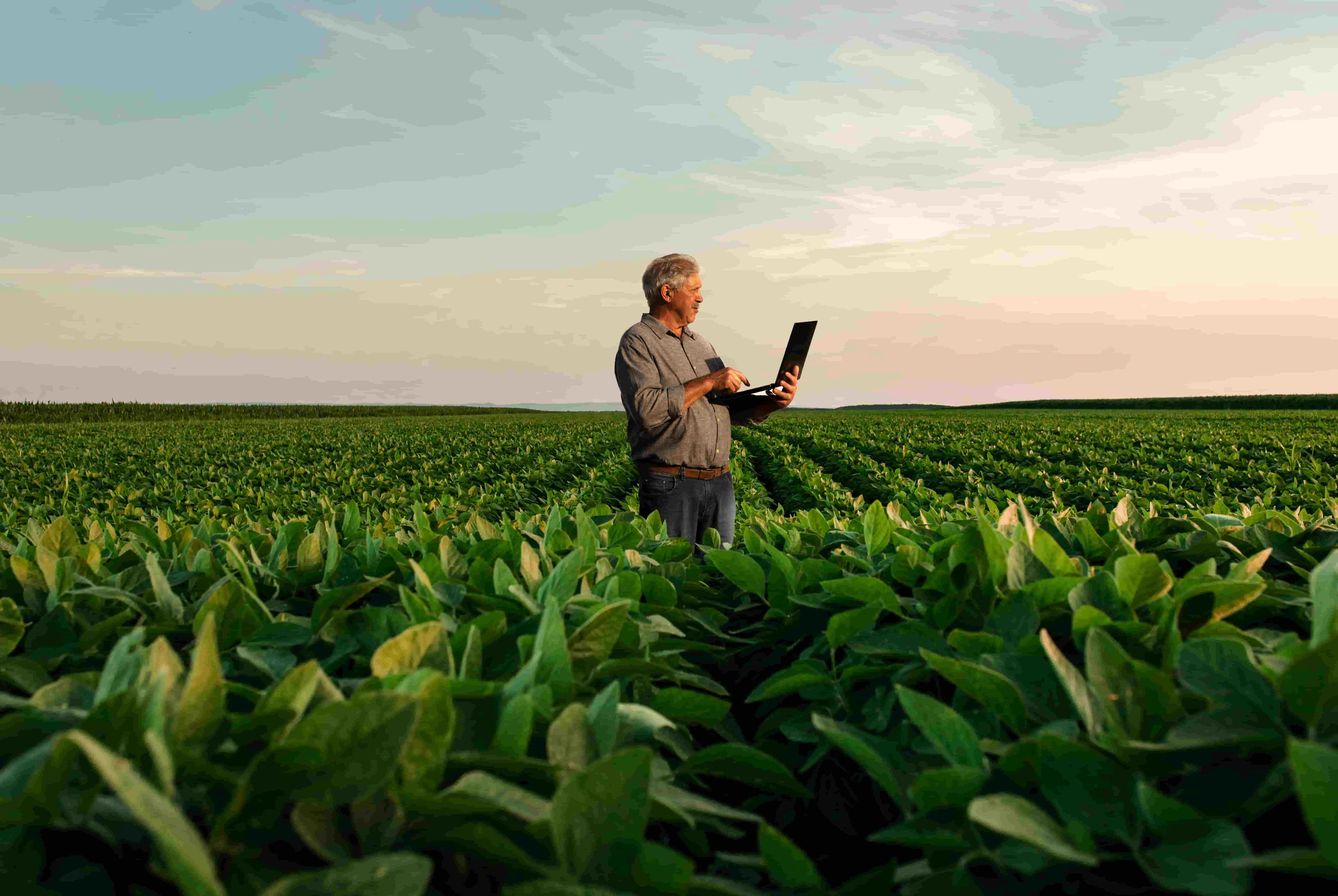  media_produtos_filer_public_2023_07_07_agtech-anuncia-startups-selecionadas-no-intensive-connection-2023_1.jpg 