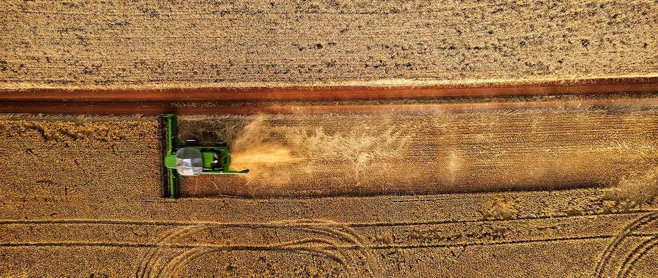  72049-nacional-imagens-aveia-rgb-1446149203-banco-de-imagem-agro.jpg 