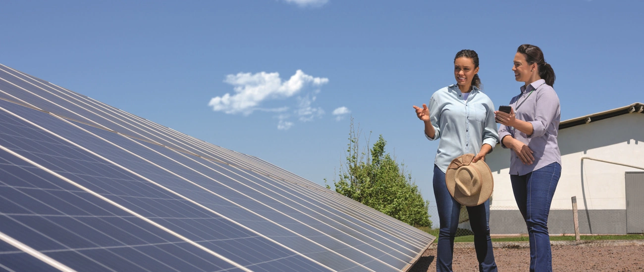  imagem-placas-solares-sicredi.jpg 