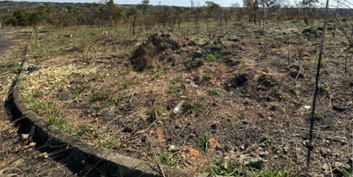 Terreno em Santa Rita do Araguaia - GO.png 