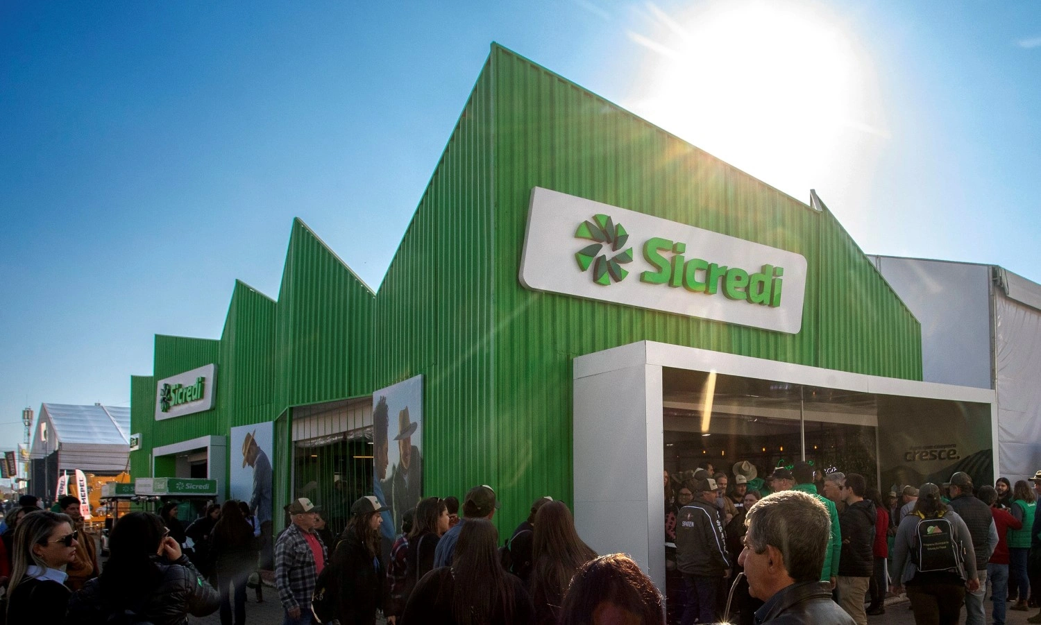  Expointer ook.jpg 