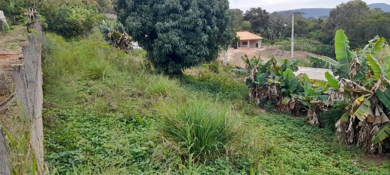  Imóvel Cândido de Abreu (5).jpg 