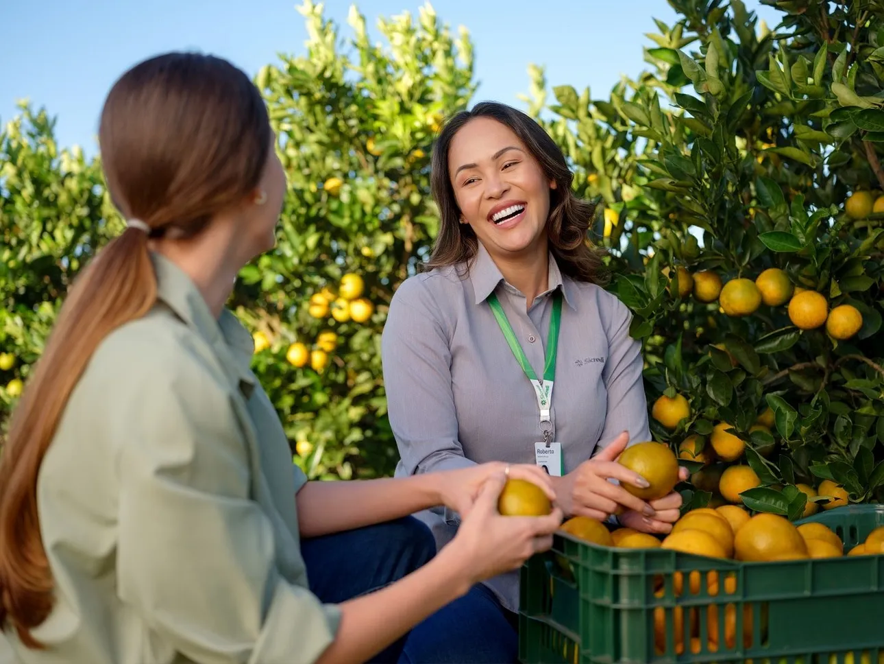  Mulheres-no-Agro-Sicredi.jpg 