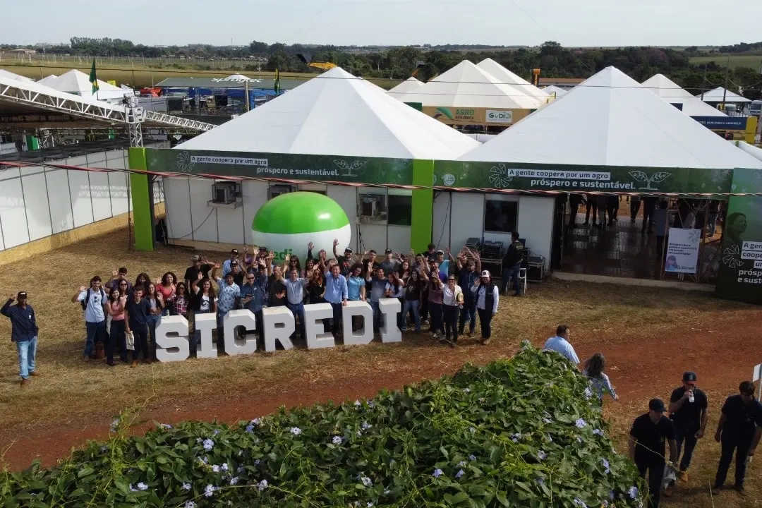  showtec 1.jpg 