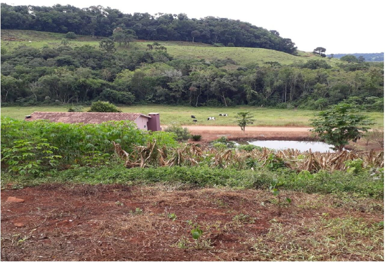 3_Easy-Resize.com (4).jpg