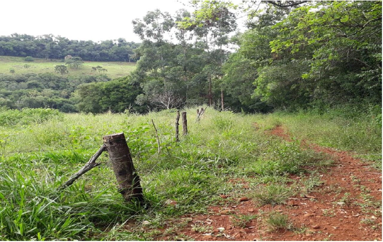 5_Easy-Resize.com (2).jpg