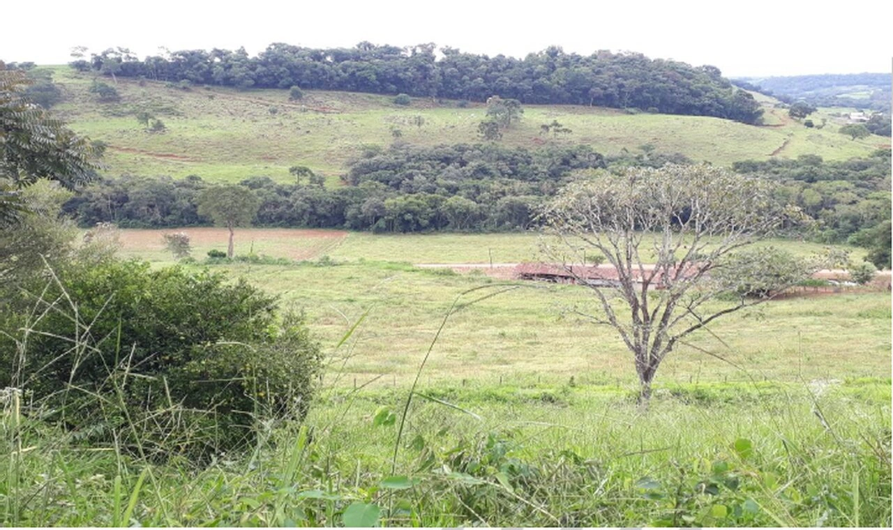 8_Easy-Resize.com (2).jpg