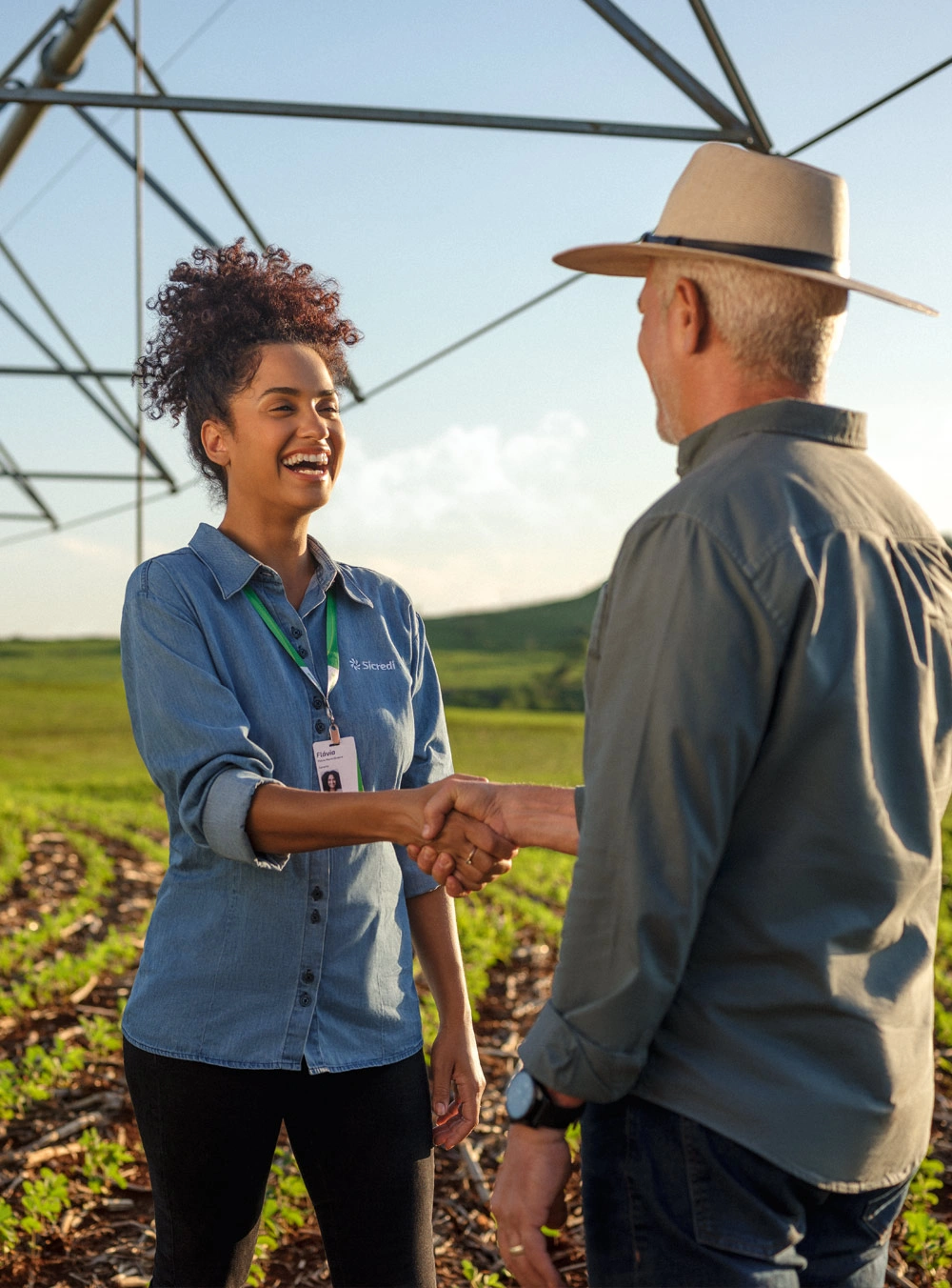 Imagem do site Sicredi