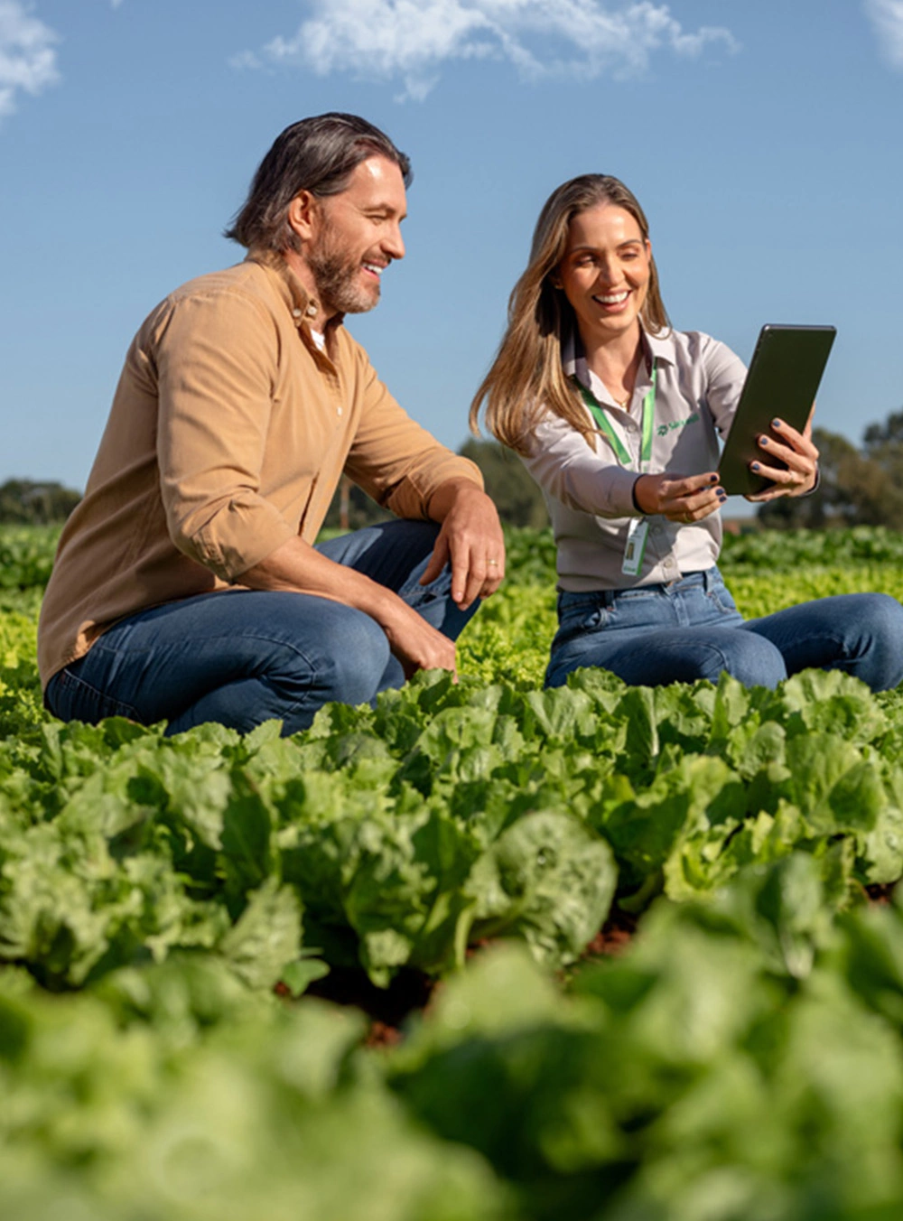 Imagem do site Sicredi