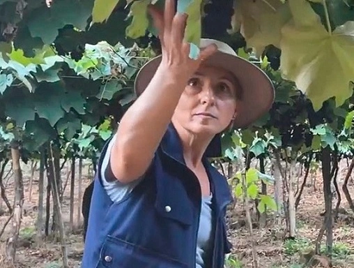  Os novos materiais melhoraram as condições de trabalho auxiliando no aumento da renda. 