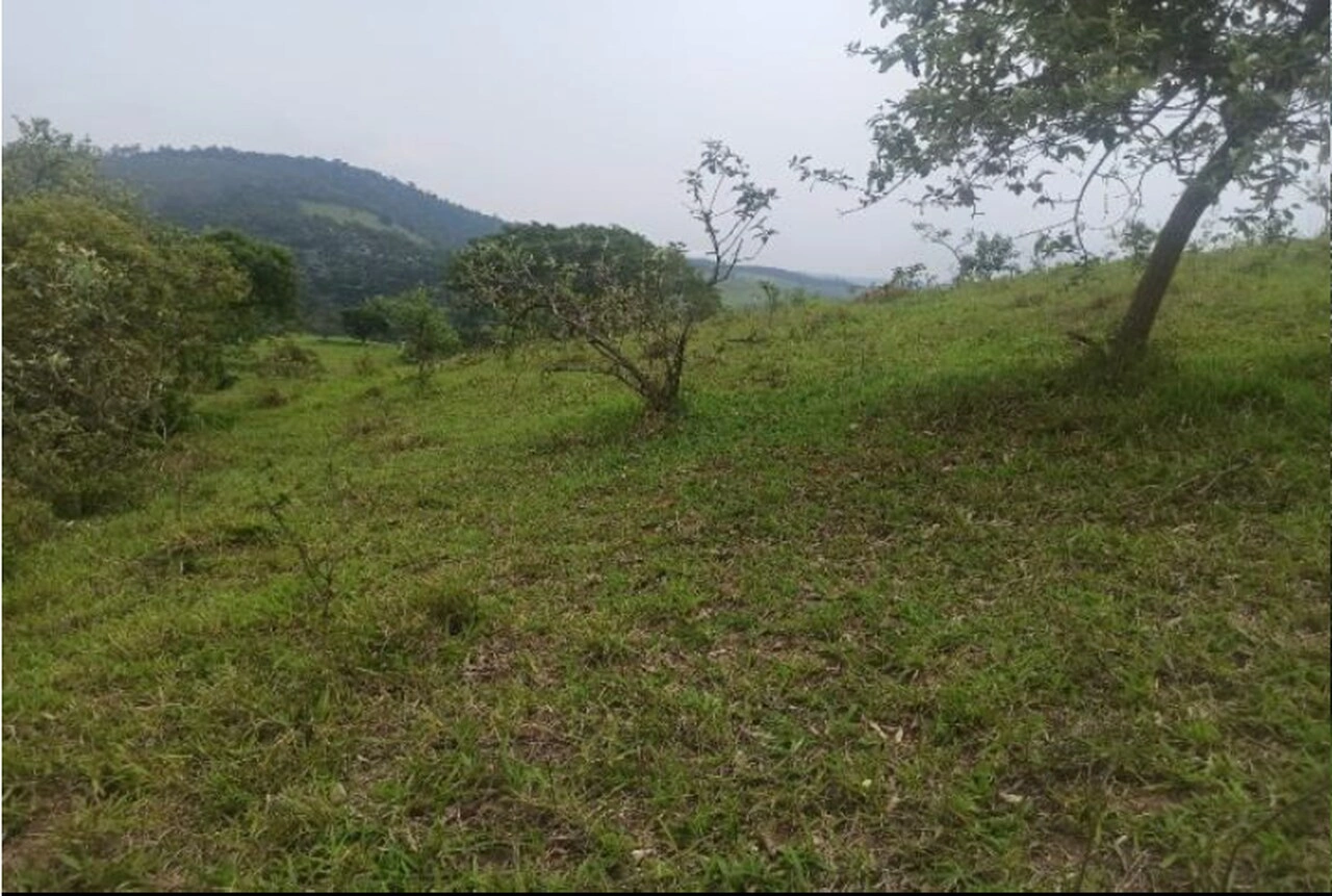  4_Easy-Resize.com (7).jpg 