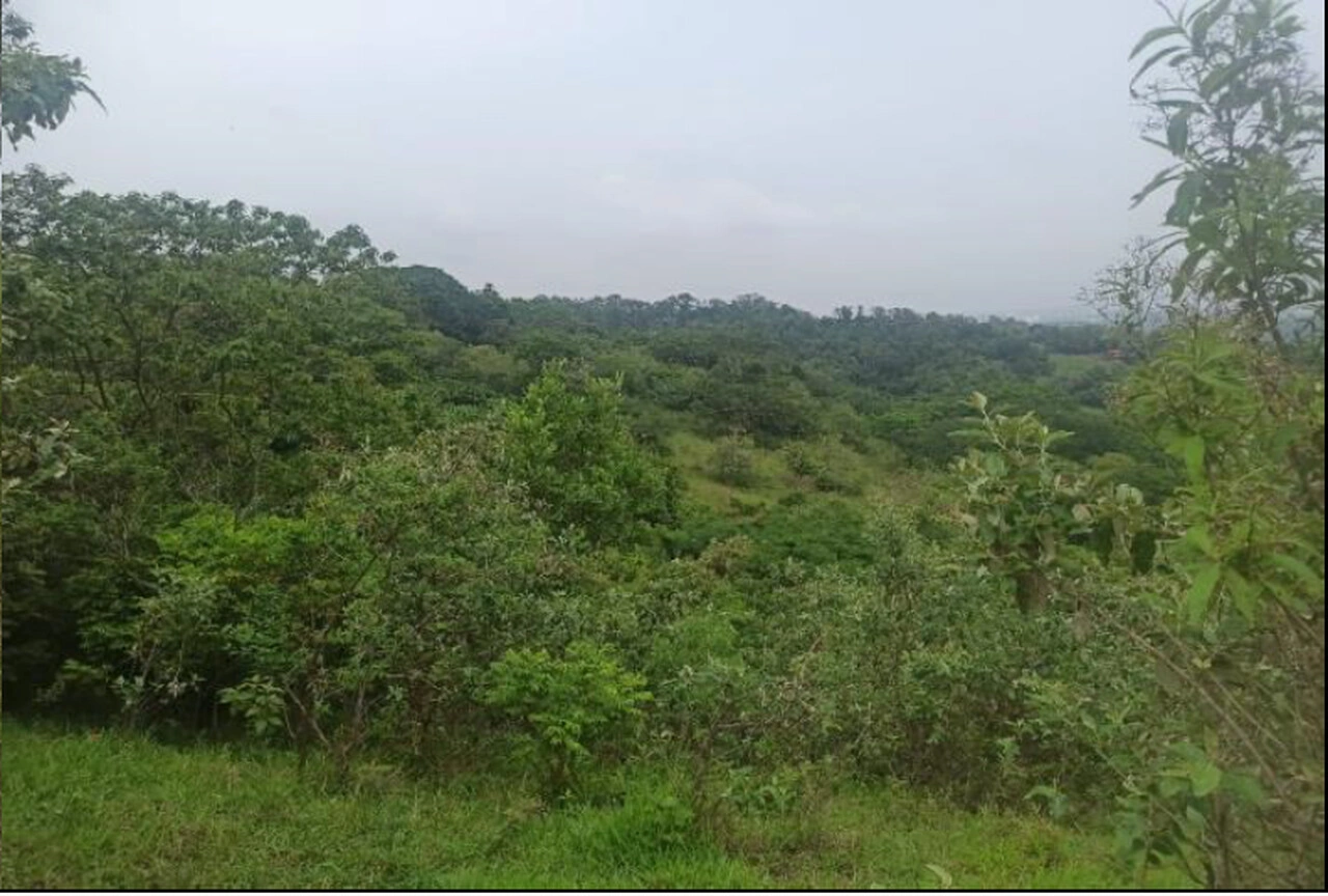  5_Easy-Resize.com (5).jpg 