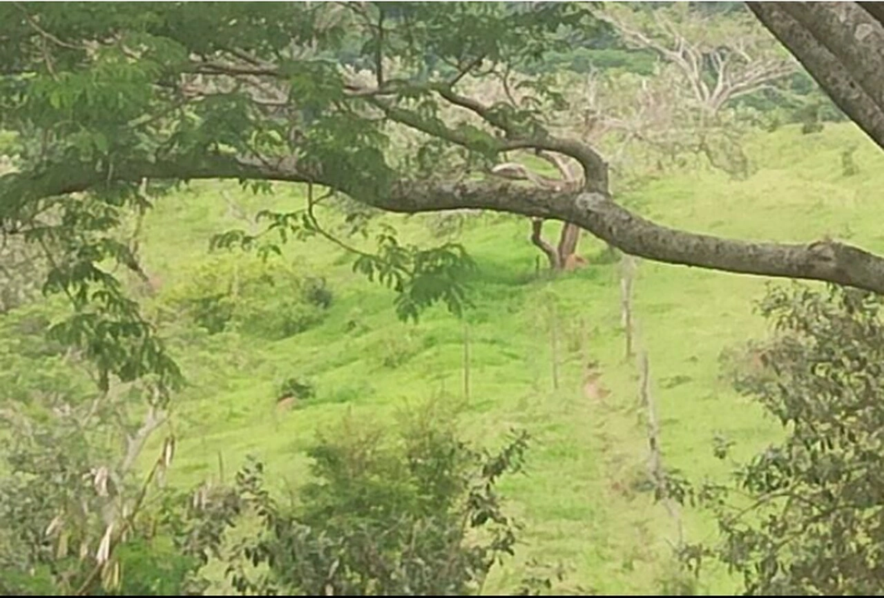  8_Easy-Resize.com (5).jpg 