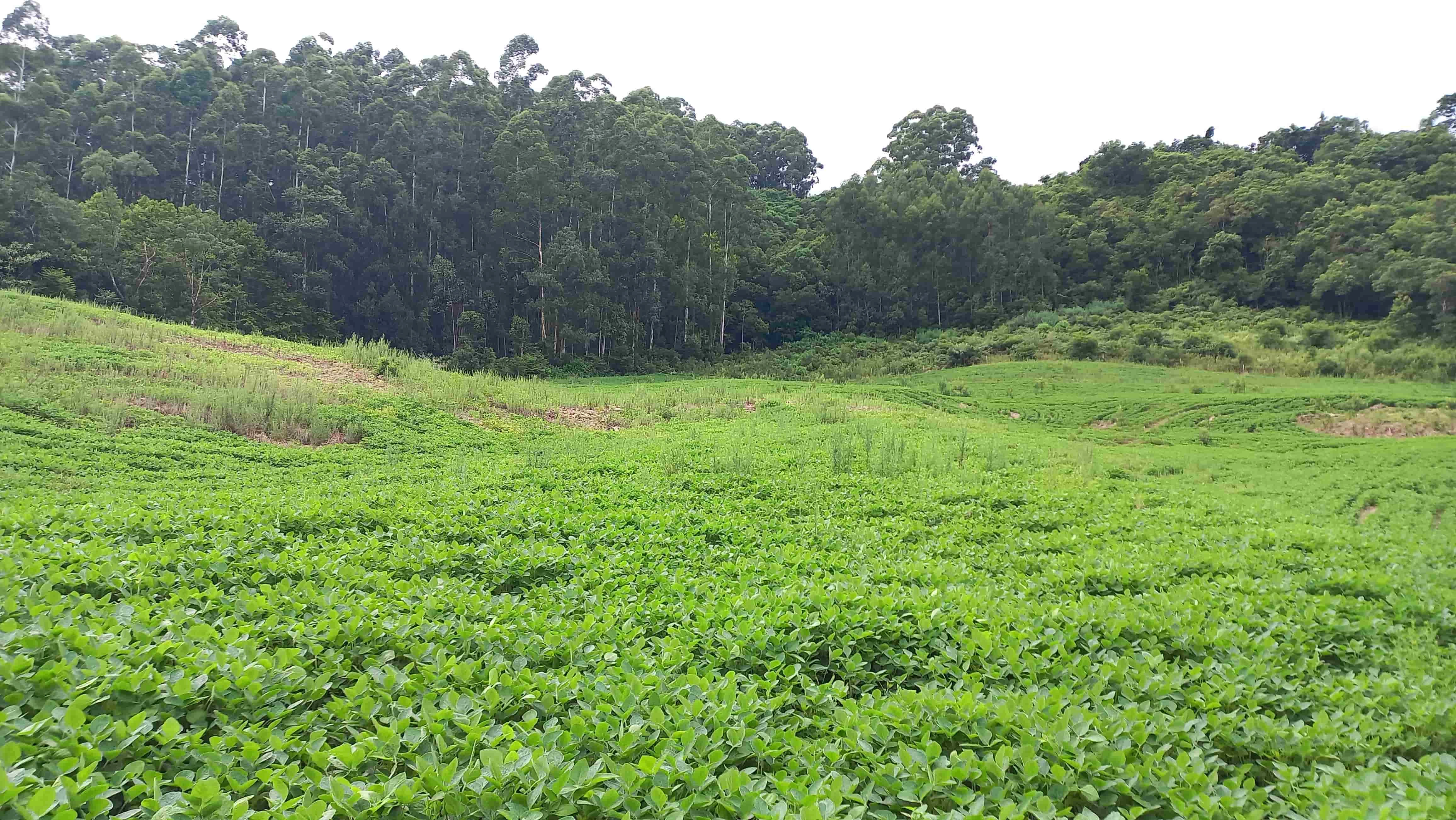  Fotos do bem (4).jpg 