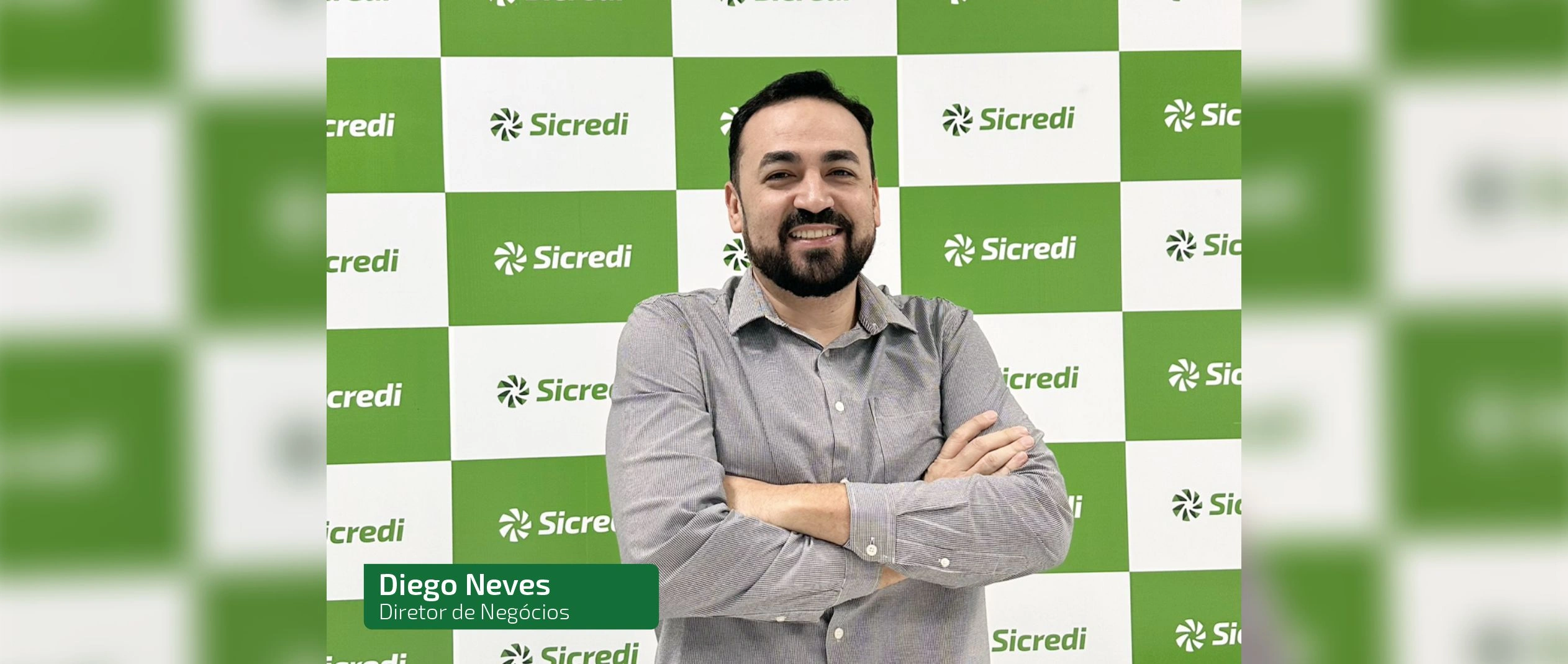  DIRETOR DE NEGÓCIOS.png 