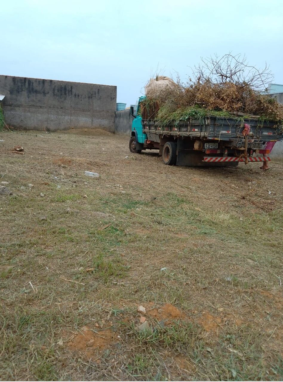  Ouro Preto do Oeste04.jpg 
