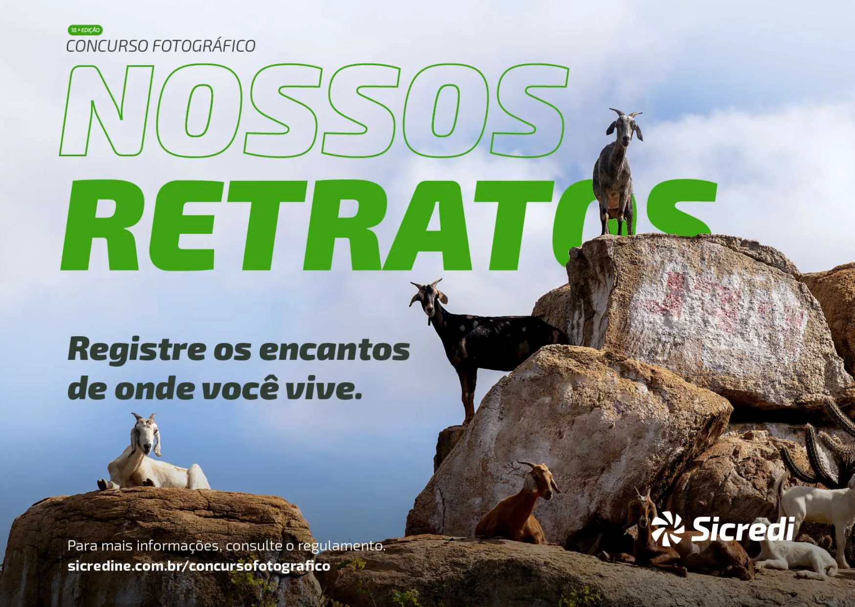  Banner do Concurso fotográfico 