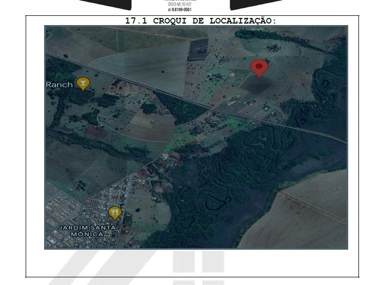  IMAGEM 01 - NADINY.jpg 