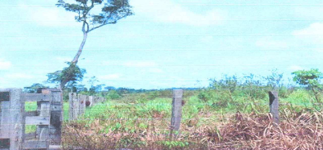  Nova bandeirantes Flor da Serra III_Easy-Resize.com.jpg 