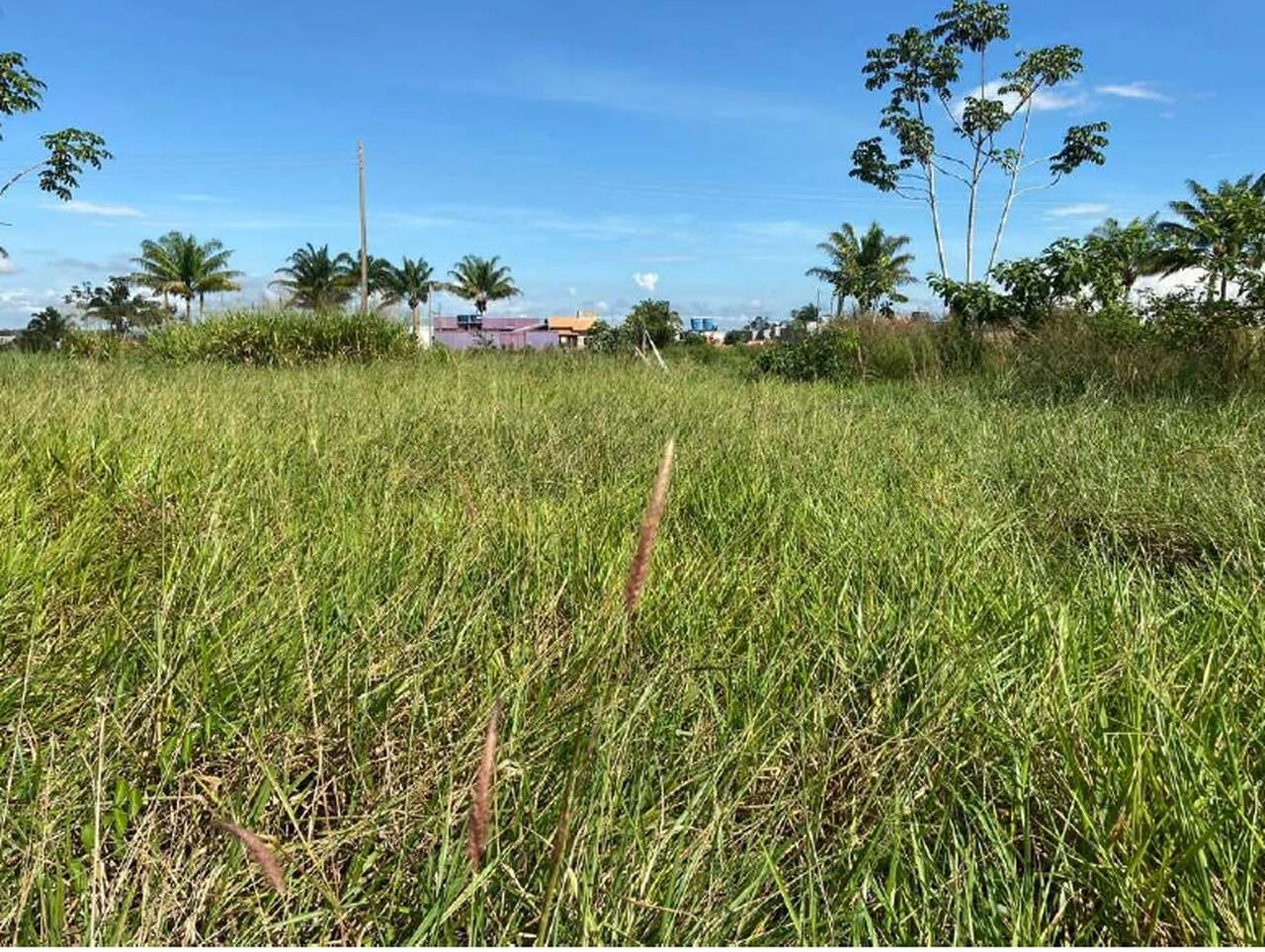  Cacoal assis barroso03_Easy-Resize.com.jpg 