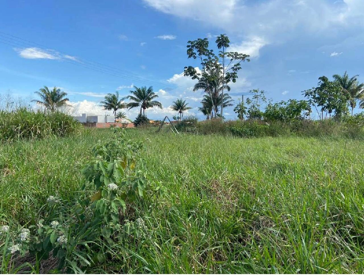  Cacoal assis barroso04_Easy-Resize.com.jpg 