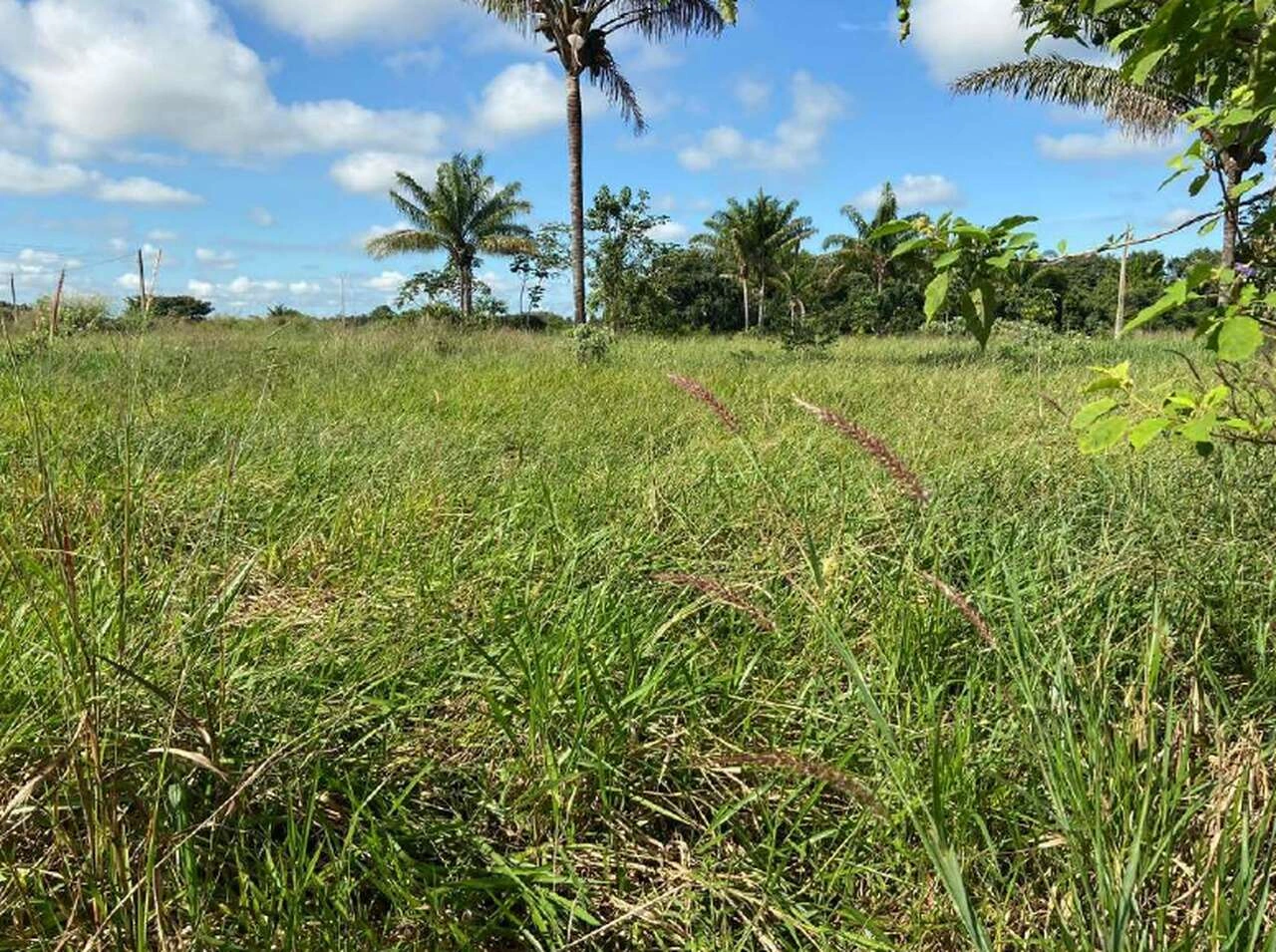  Cacoal assis barroso05_Easy-Resize.com.jpg 