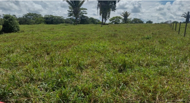  GLEBA 7 D'JARU.02.png 