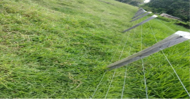  GLEBA 7 D'JARU.04.png 