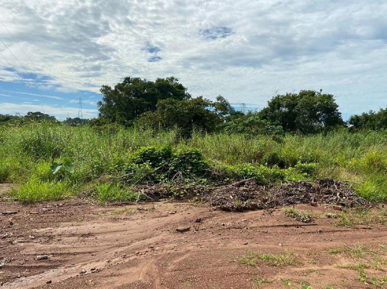  Rolim de Moura 100239.3_Easy-Resize.com.jpg 