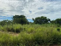 Rolim de Moura 100239.4_Easy-Resize.com.jpg